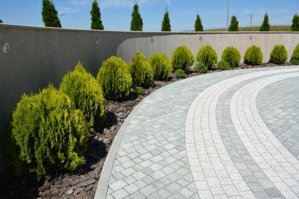 Best Residential Paver Driveway  in Lisbon, ND